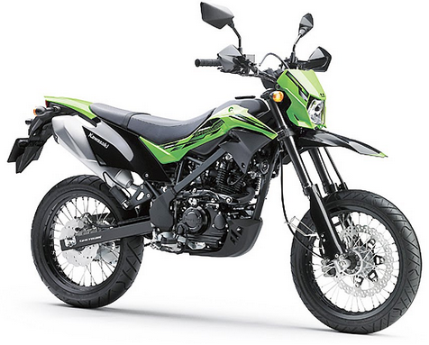 Kawasaki D-Tracker 150 Green